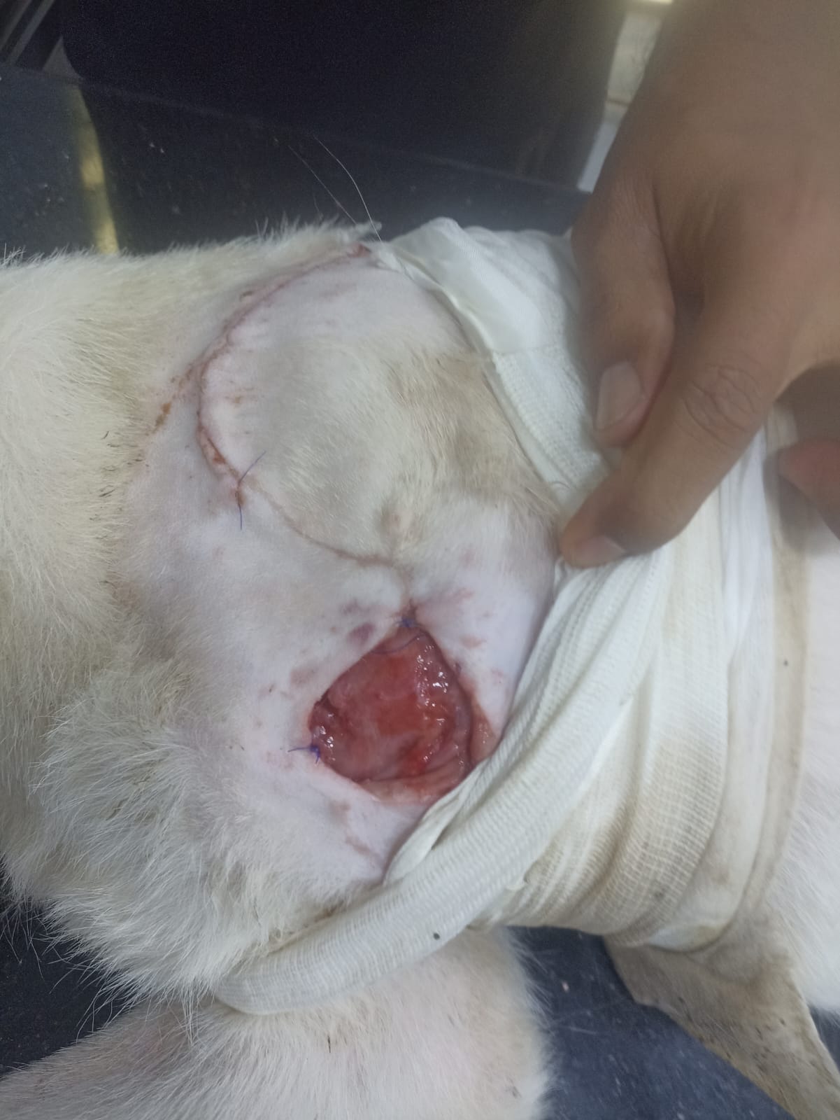 جرح عزوز عند الوصول